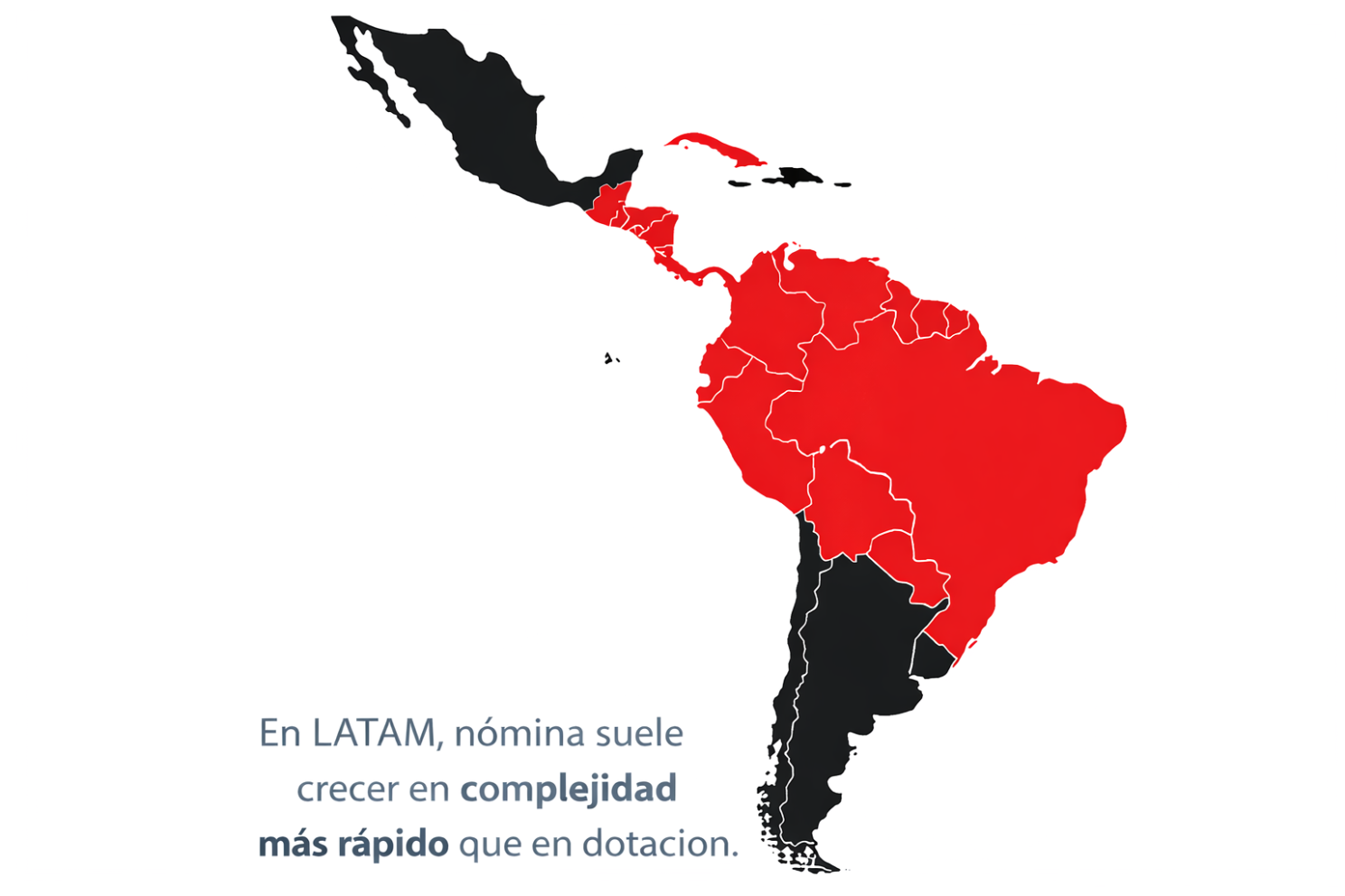 Contenido del artículo